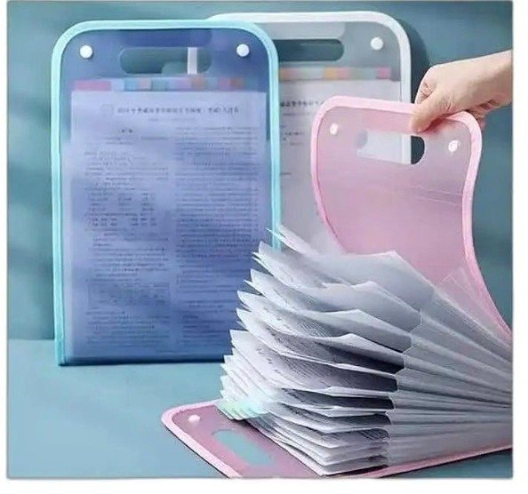 ০১ পিস- Portable Document Organizer